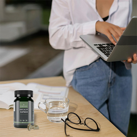 Shilajit Kapseln für den Alltag