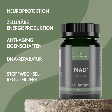 Nad+ C
