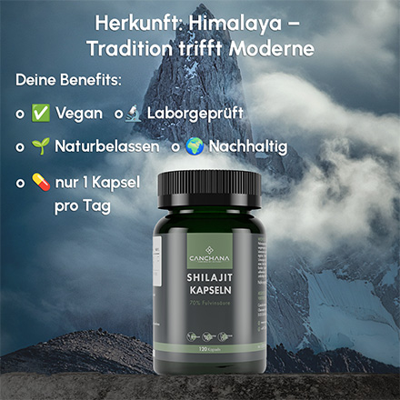 Shilajit Kapseln
