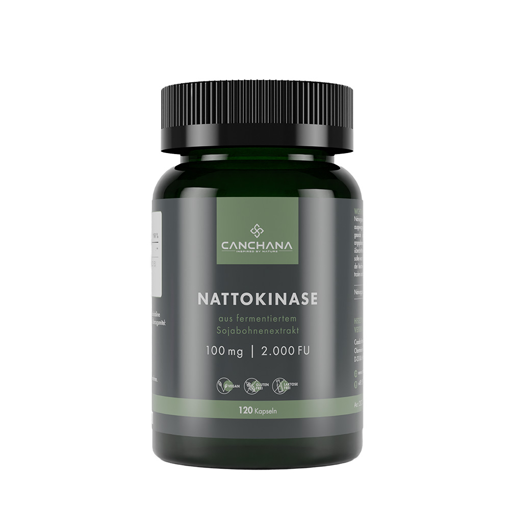 Nattokinase 2000 FU