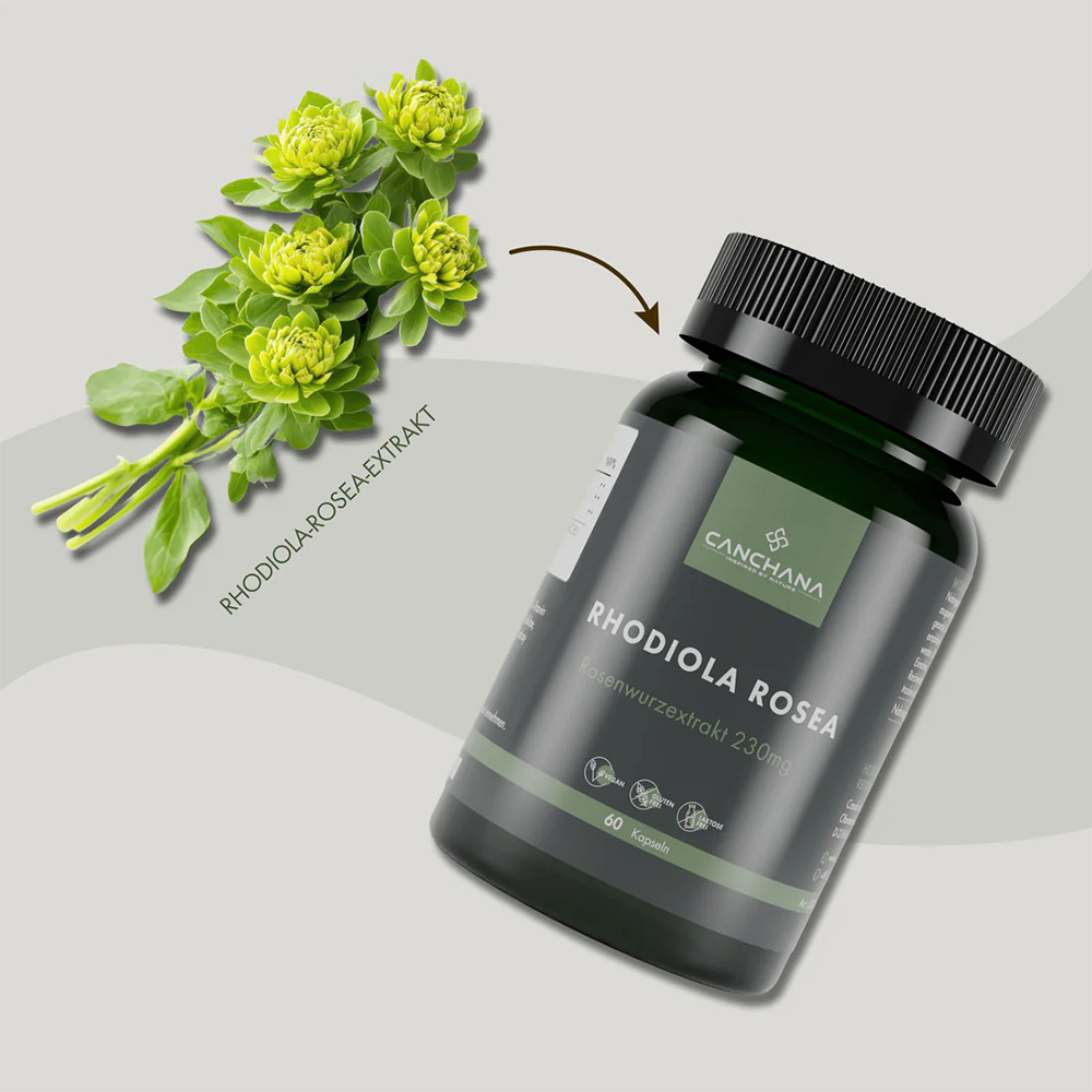 Rhodiola Rosea Rhodiola Rosea