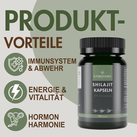 Shilajit Kapseln A