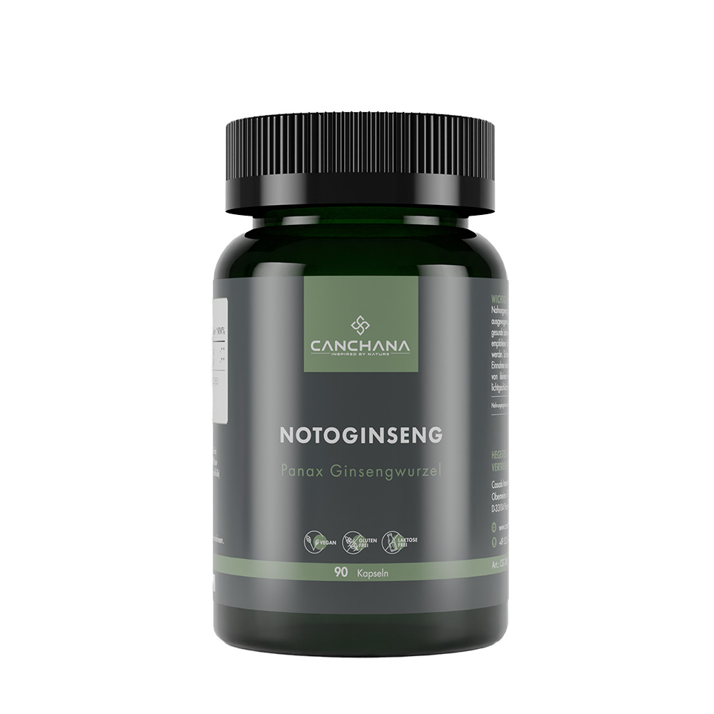 Notoginseng