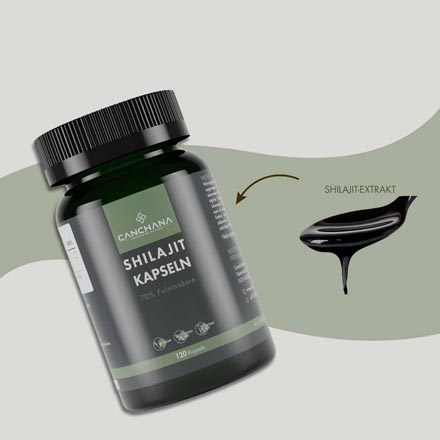 Shilajit Kapseln B