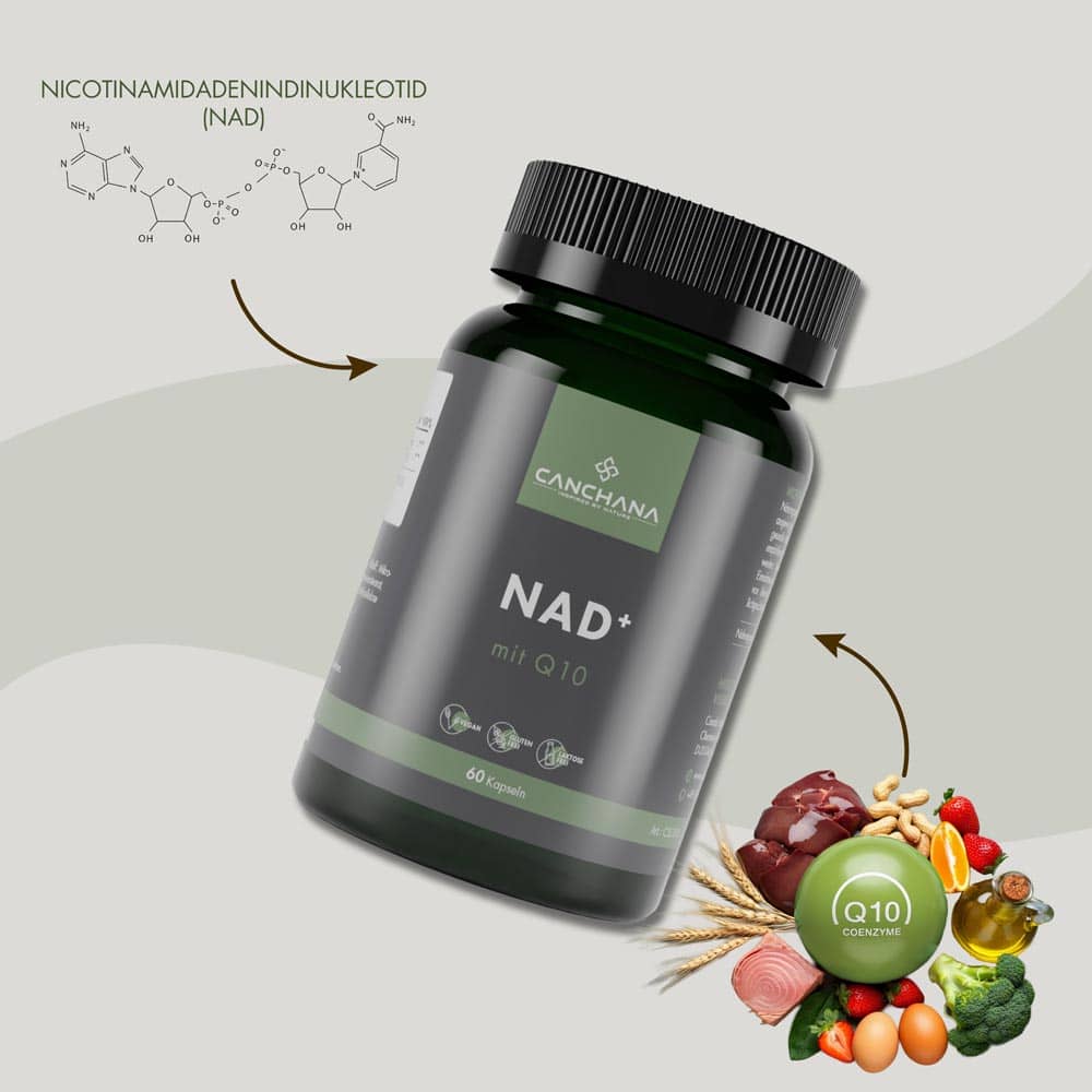 Nad+ Nad+