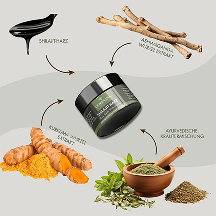 Shilajit Harz B
