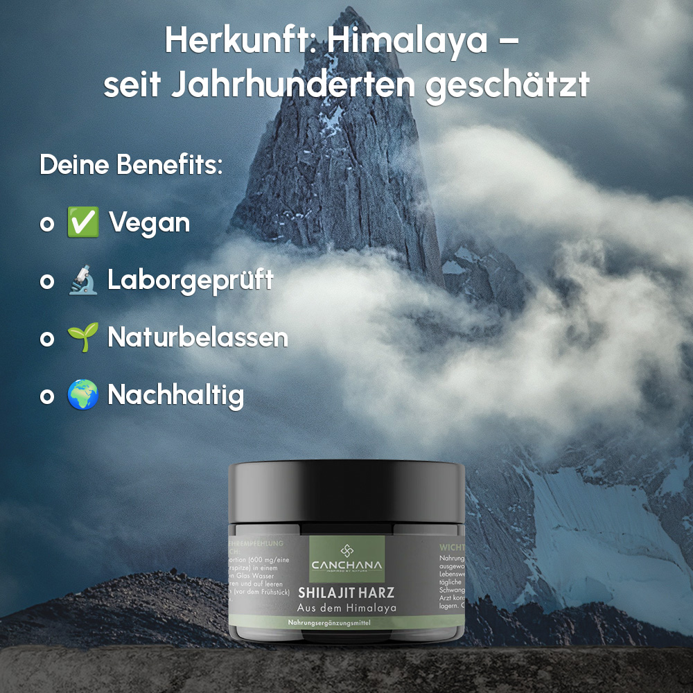Shilajit Harz 50g