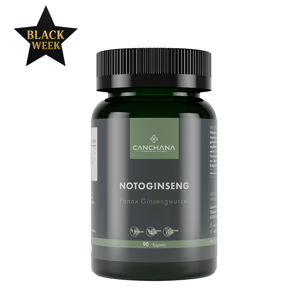 Notoginseng