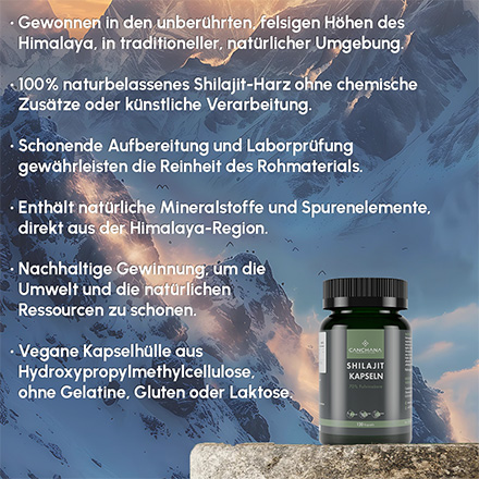 Shilajit Kapseln A