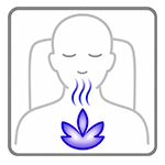 Duft- und Aromafunktion