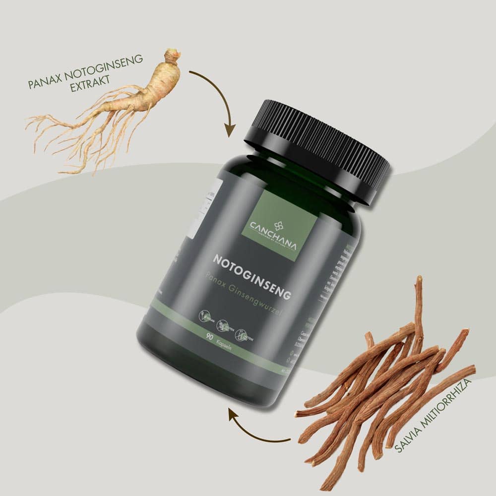 Notoginseng Notoginseng