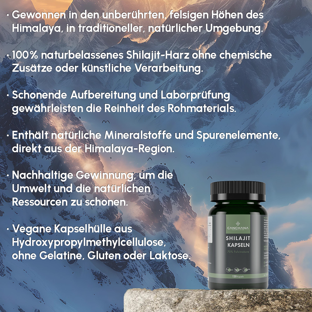 Shilajit Kapseln