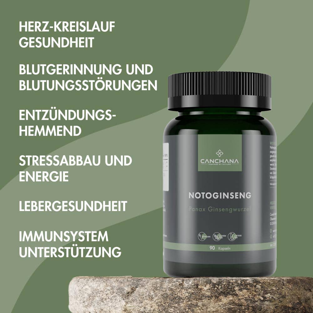 Notoginseng Notoginseng