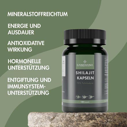 Shilajit Kapseln C