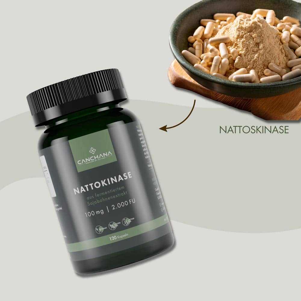 Nattokinase 2000 FU Nattokinase 2000 FU