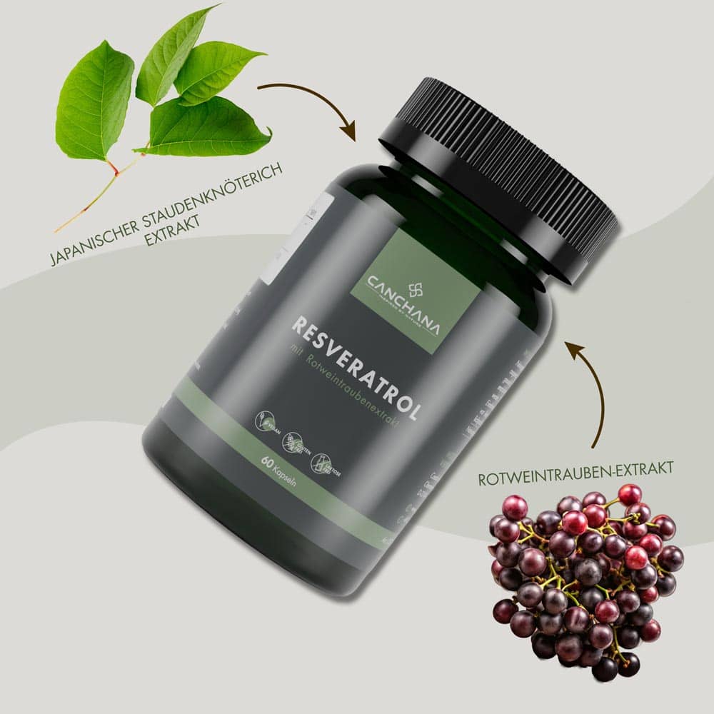 Resveratrol Resveratrol