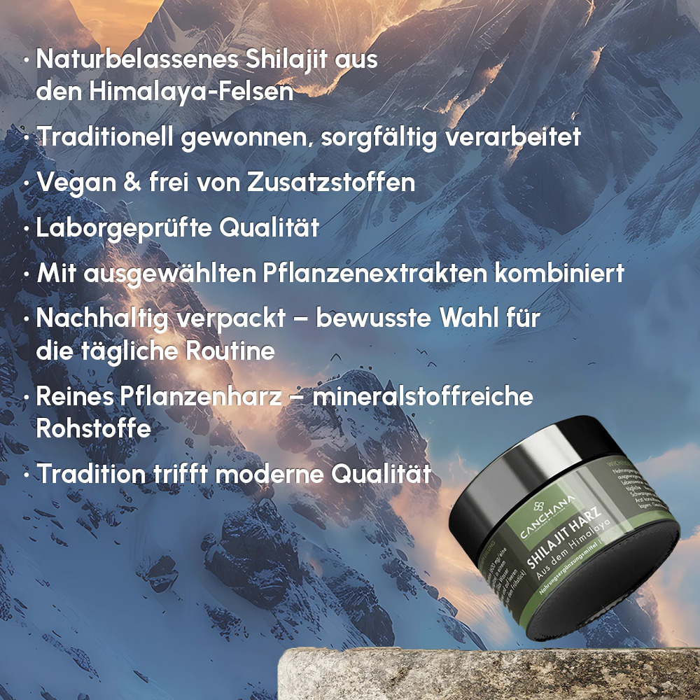 Shilajit Harz 50g