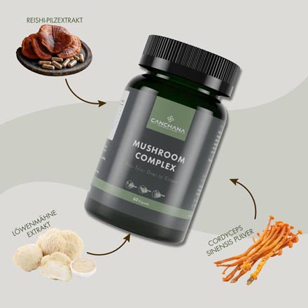 Mushroom Complex B