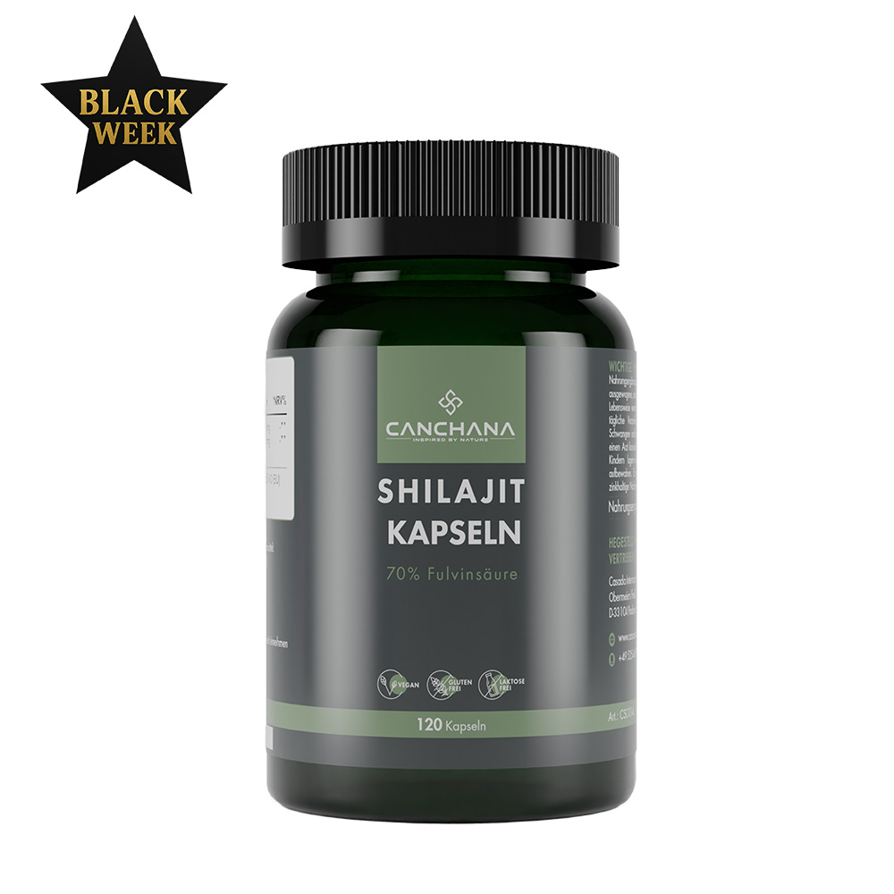 Shilajit Kapseln