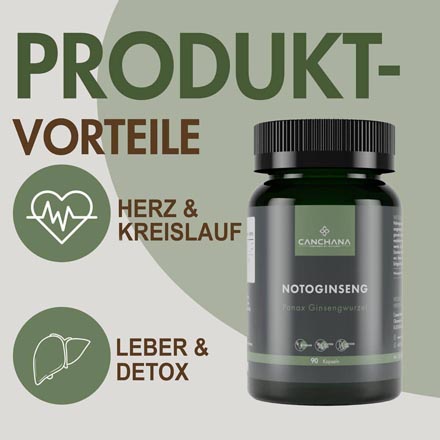 Notoginseng A