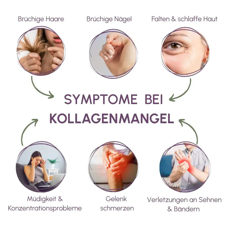 Premium Kollagen C